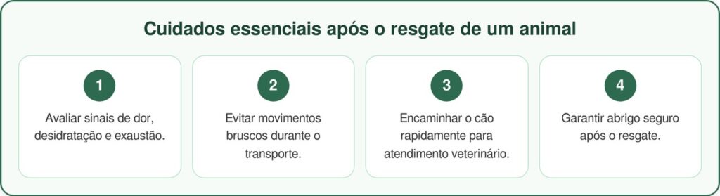 Rottweiler é salva de canal profundo em operação de resgate comovente