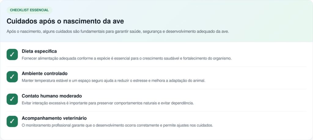 Homem encontra ovo deixado pela mãe e decide incubar, resultado encanta