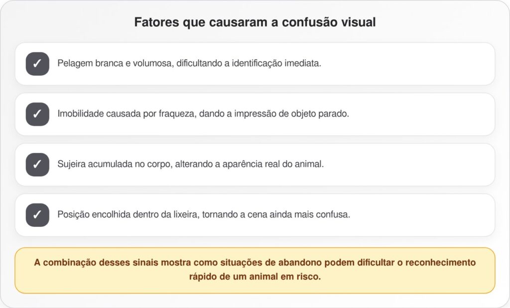 Ursinho de pelúcia branco é achado no lixo e surpreende ao estar vivo