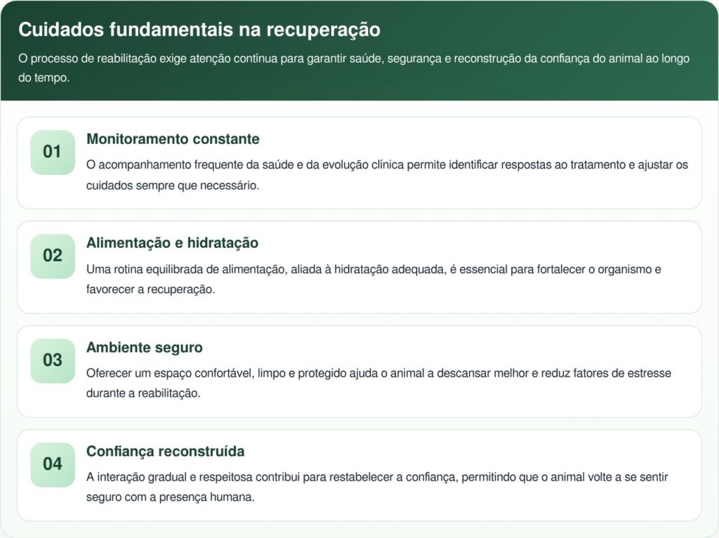 Filhote resgatado com pele rosada tem mudança impressionante em um mês