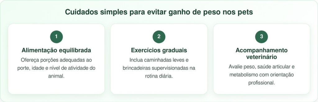 Golden Retriever supera obesidade e corre com energia