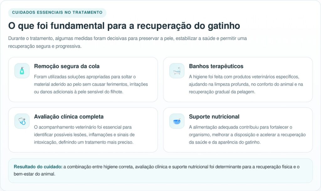 Socorristas se emocionam ao ver a transformação de gatinho coberto de cola