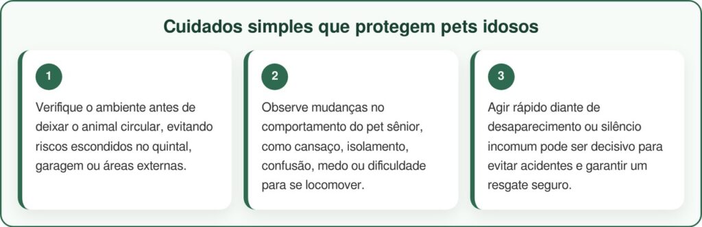 Cão idoso fica preso na lama e é salvo em resgate emocionante
