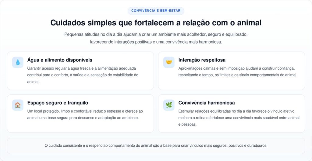 Cachorro de rua se torna cliente fiel de cafeteria e encanta a todos