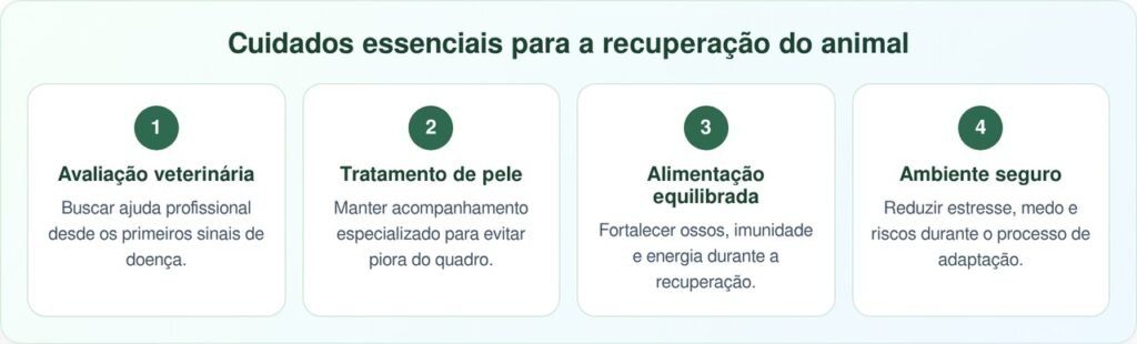 Nala, a filhote com “juba de leão” que virou um adorável ursinho de pelúcia