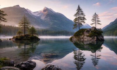 Essa frase pode fazer sentido para você hoje e ajudar a refletir sobre sua vida