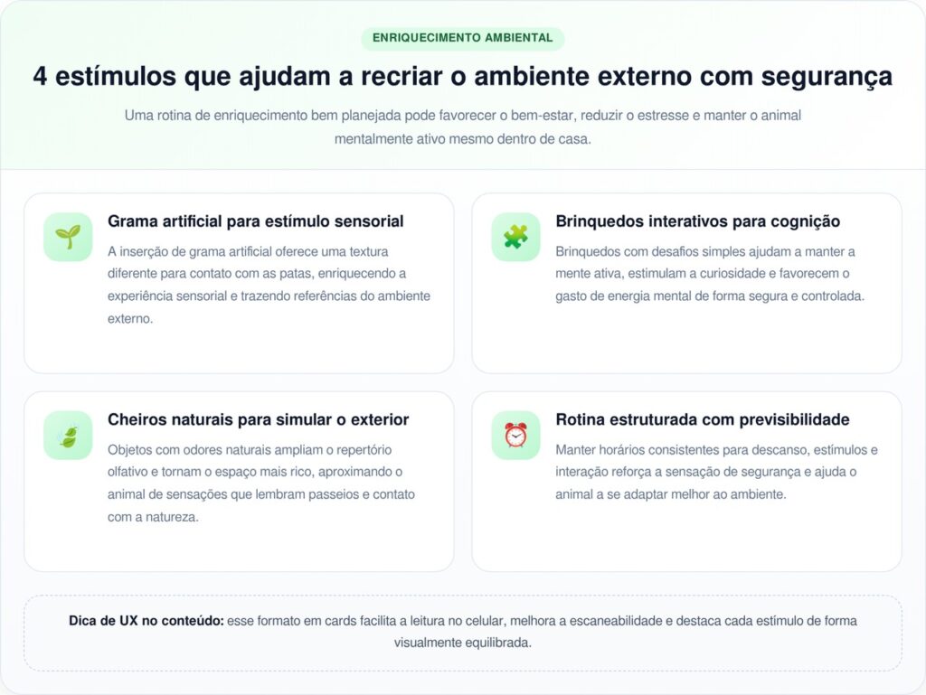 Cachorro ferido não consegue mais caminhar até o parque e dona leva o parque até ele