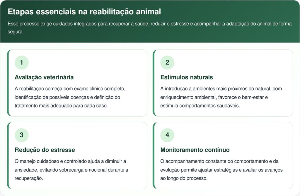 Macaca ameaçada passa anos presa e tem reação emocionante ao ganhar liberdade