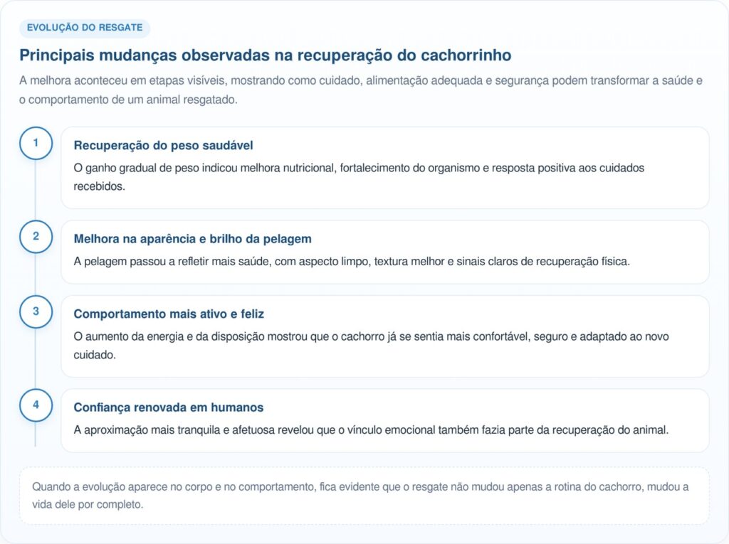 Cachorrinho comendo lixo em posto de gasolina ganha nova chance de vida
