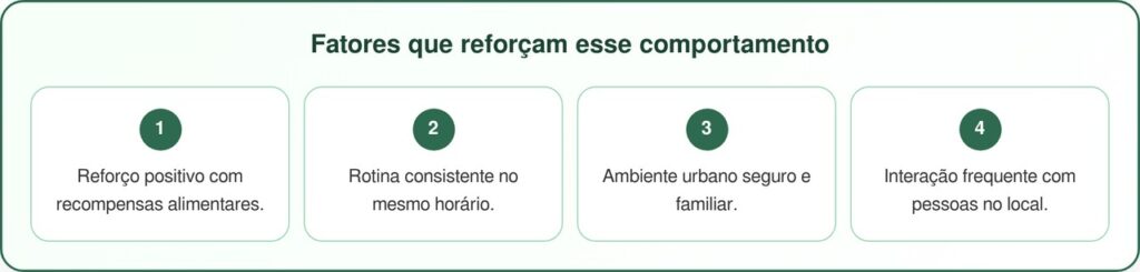 Cachorro gigante vai à farmácia todos os dias e encanta moradores