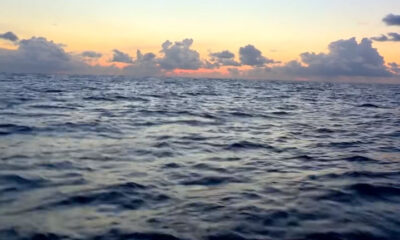 Bolas estranhas estão aparecendo ao longo das margens dos oceanos. Elas podem estar salvando o mar