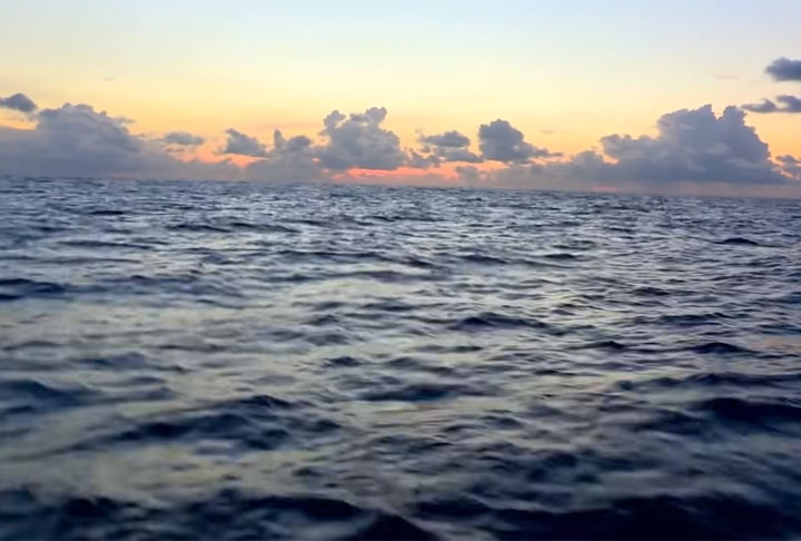 Bolas estranhas estão aparecendo ao longo das margens dos oceanos. Elas podem estar salvando o mar