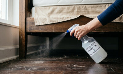 Borrifar vinagre com sal embaixo da cama: para que serve e quando fazer