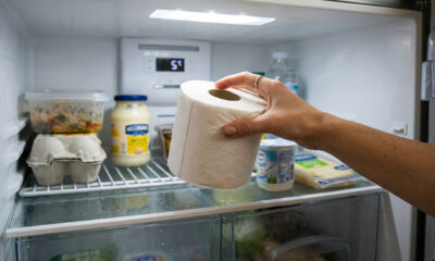 Coloque um rolo de papel higiênico na geladeira: um truque de dona de casa japonesa que não só absorve a umidade, como também traz outros benefícios