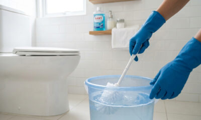 Você precisa limpar sua escova de vaso sanitário e este é o melhor jeito de fazer isso