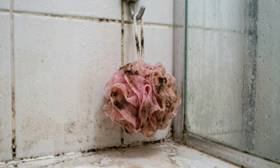 Não a cada 1 ou 3 meses: com que frequência você deve trocar sua esponja de banho, segundo especialistas?