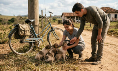 Ciclista encontra filhotes abandonados na estrada e recusa deixá-los para trás