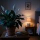 Coloque esta planta de sombra no seu quarto para dormir melhor hoje mesmo e transformar o ambiente com mais conforto