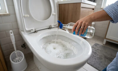 Receita com detergente, vinagre e amaciante promete banheiro perfumado por até 30 dias