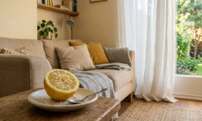 Colocar limão com sal no canto da sala: para que serve e por que é recomendado