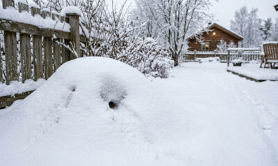 Esse amontoado de neve no quintal dessa senhora está respirando