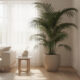 A planta que muda o ambiente e deixa qualquer casa mais elegante mesmo sem esforço