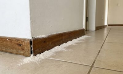 O pó antigo que age sem veneno e continua surpreendendo no controle de pragas