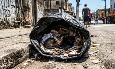 Mulher resgata animais de saco de lixo e história comove amantes de animais