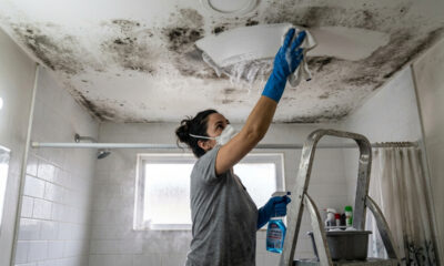 3 misturas caseiras para acabar com o mofo no teto do banheiro e evitar que ele volte