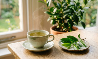 O que acontece com seu corpo ao tomar chá verde todas as manhãs
