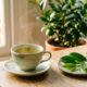 O que acontece com seu corpo ao tomar chá verde todas as manhãs