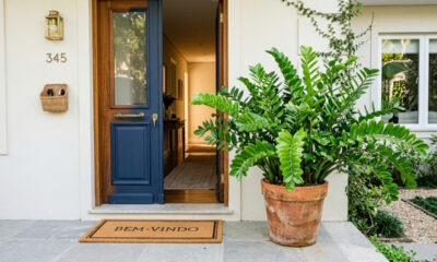 Conheça a folhagem da sorte que atrai prosperidade para a entrada da sua casa e transforma o ambiente