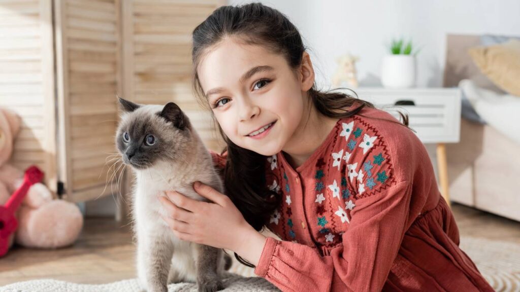 Gato de rua permanecendo em ambiente com clima de confiança e afeto.