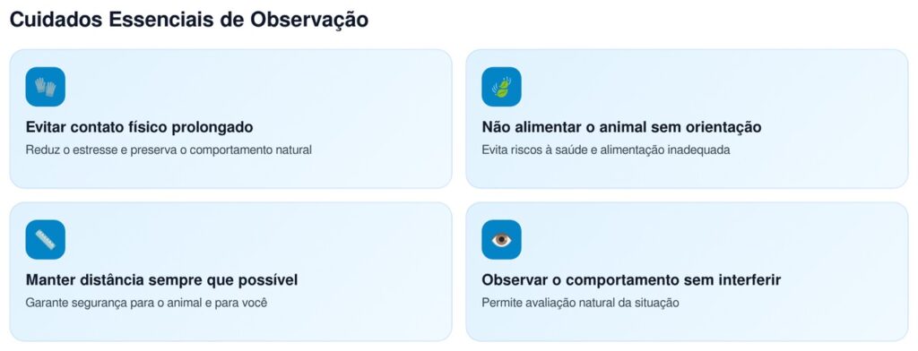 Boas práticas de conduta ao lidar com animais em situação de vulnerabilidade