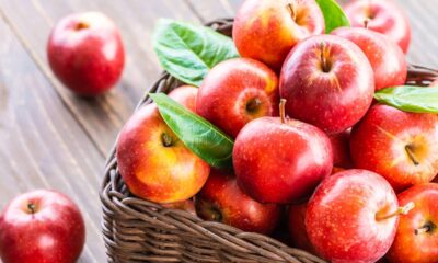 Comer maçã atrai benefícios à saúde e à regulação do intestino e colesterol