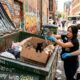 Voluntários Ouvem Sons Em Contêiner E Salvam 4 Bebês Abandonados
