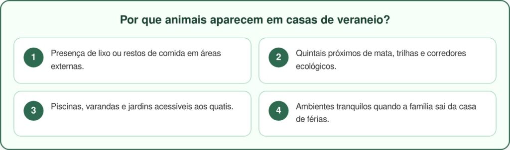 Animais selvagens invadem casa de férias e fazem festa no Brasil