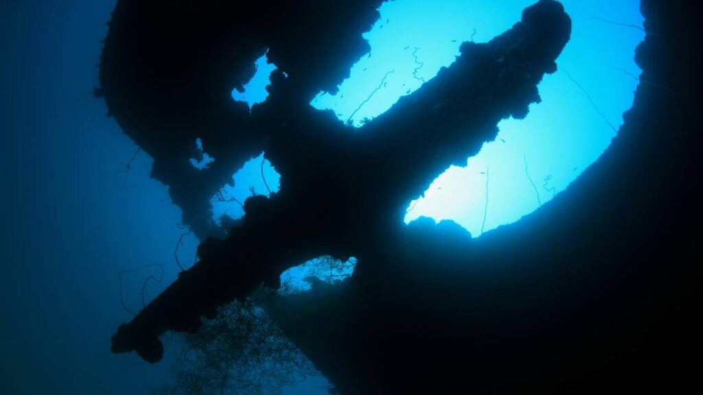 Os mais antigos datam do século V a.C.: dezenas de naufrágios descobertos no Estreito de Gibraltar.