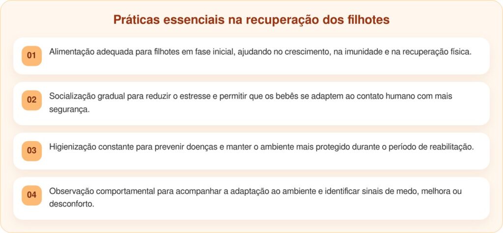 Voluntários Ouvem Sons Em Contêiner E Salvam 4 Bebês Abandonados