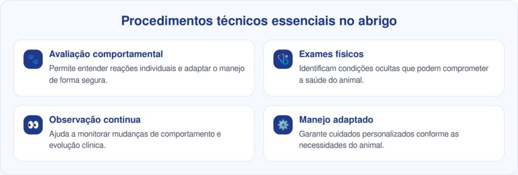 Gatinha resgatada surpreende funcionários ao revelar que não era feroz