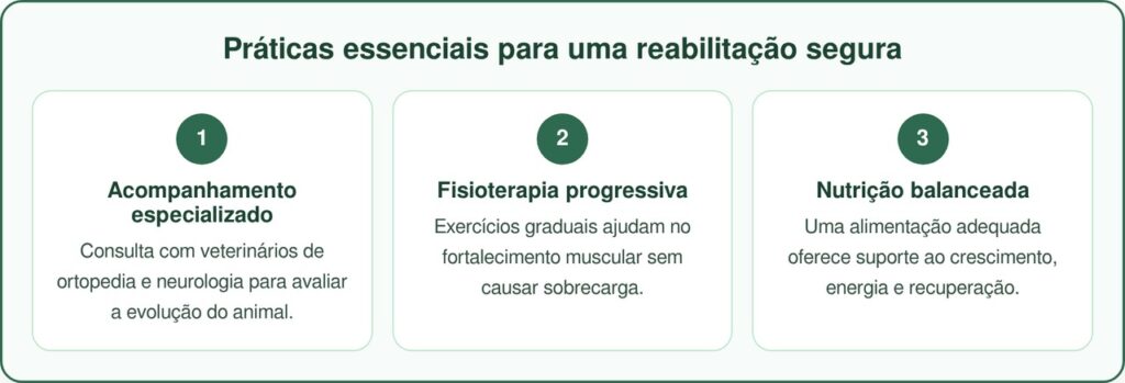 Criador descarta filhotes que não andavam e hoje eles correm