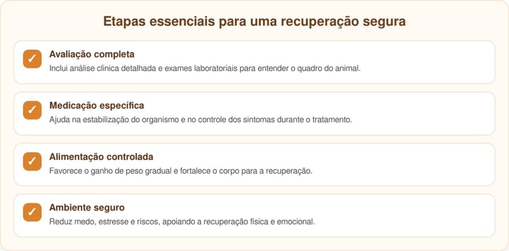 Murphy: o filhote doente que escapou da eutanásia e foi adotado por um veterinário