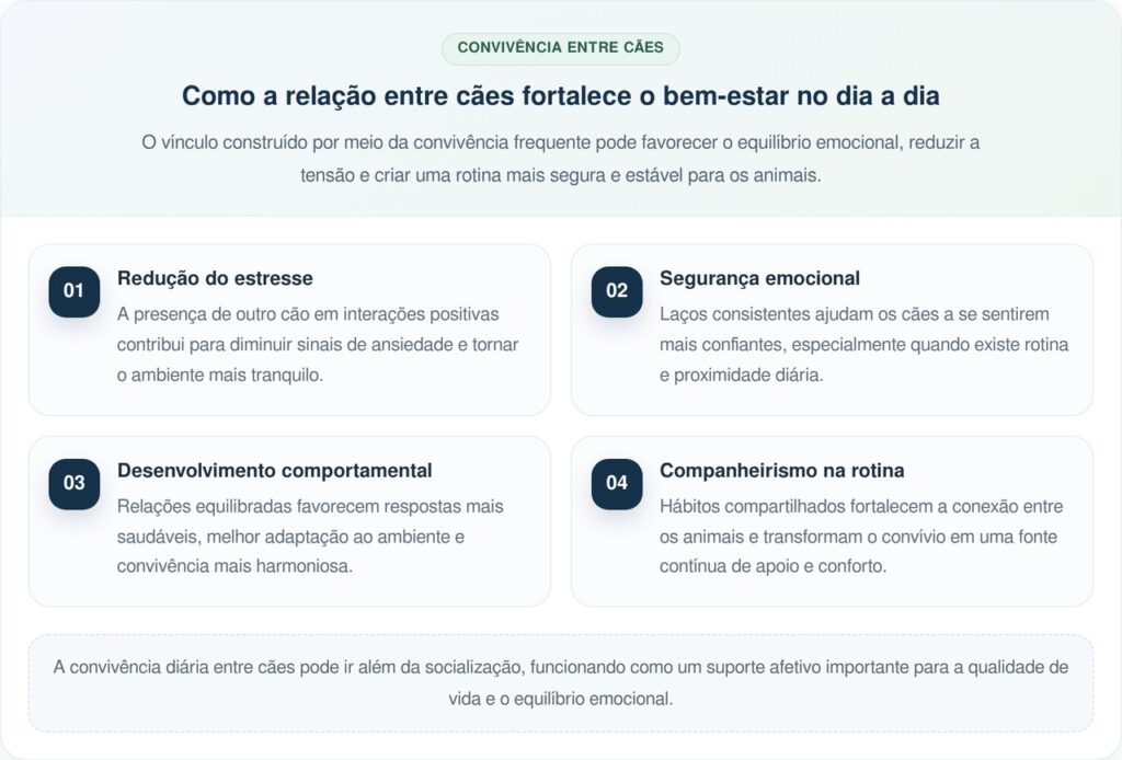Cachorrinha acorda irmão surdo todos os dias com gesto cheio de carinho