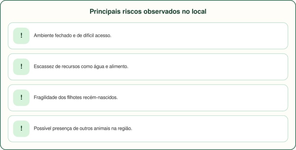Socorrista salva mãe e filhotes em caverna após ouvir gritos
