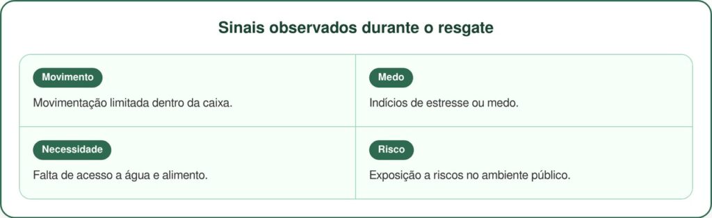 Policial encontra caixa suspeita e resgata animal abandonado