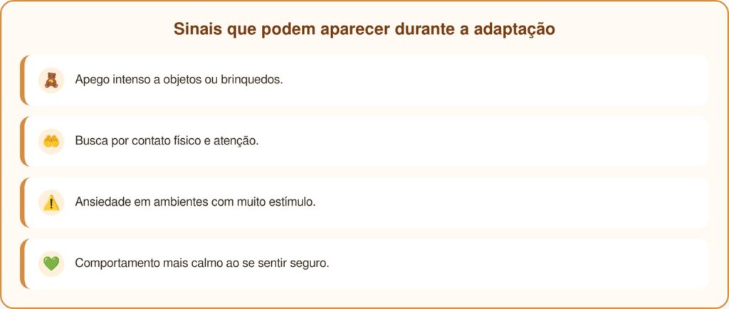 Cãozinho abandonado se agarra a pelúcias enquanto espera adoção
