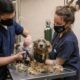 Cão desamparado se sente renovado após se livrar de pelos extremamente emaranhados