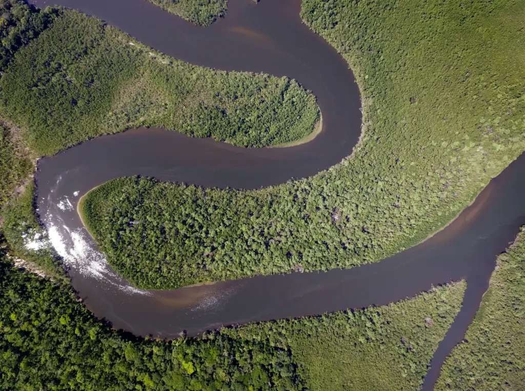 Satélites e inteligência artificial revelam degradação alarmante entre Amazônia e Cerrado