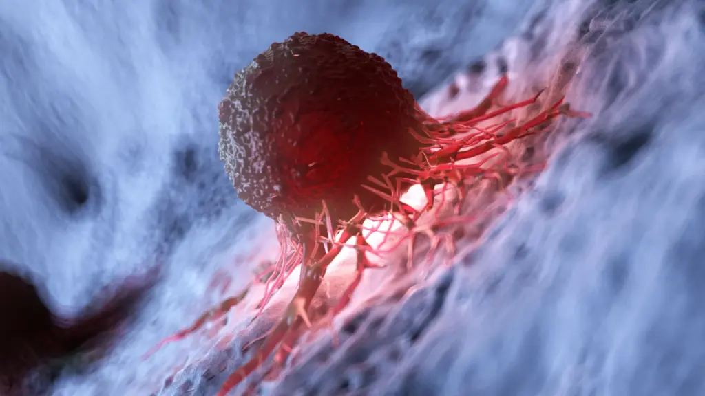 Vitamina B2 pode ajudar células cancerosas a sobreviver, aponta pesquisa