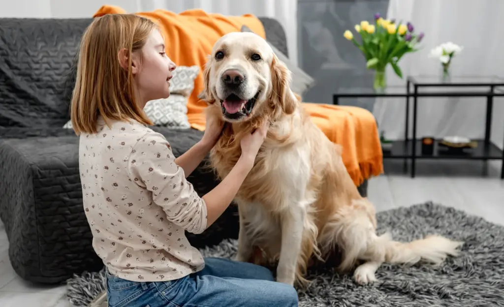 Cães e humanos convivem desde a Era do Gelo, revela estudo publicado na Nature
